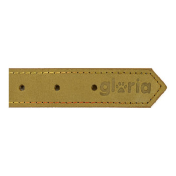 Собачий ошейник Gloria Oasis Зеленый (55 x 2,5 cm)