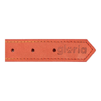 Собачий ошейник Gloria Oasis Красный (35 x 1,2 cm)