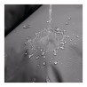 BB_S6101833