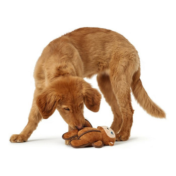Suņu rotaļlieta Hunter Togh Toys Brūns 25 cm Mērkaķis,,,