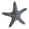 BB_S6102388