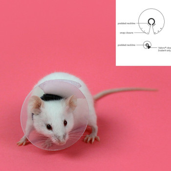 Elizabethan Collar for Rodents KVP Transparent 5.75-7.5 cm,,,